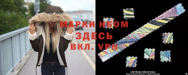 хмурый Алзамай