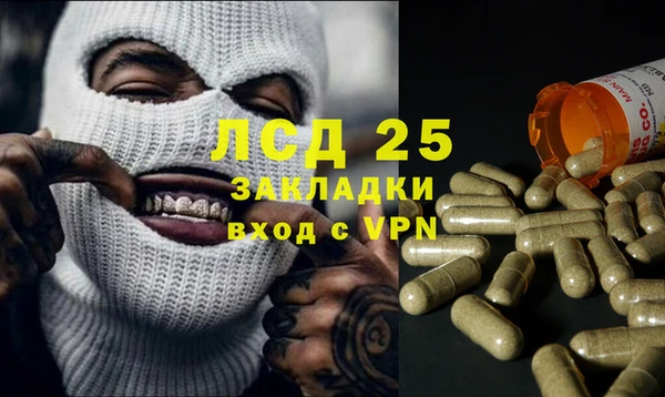 мяу мяу мука Пестово