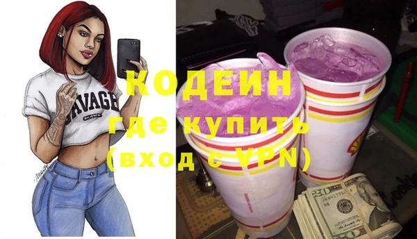 хмурый Алзамай