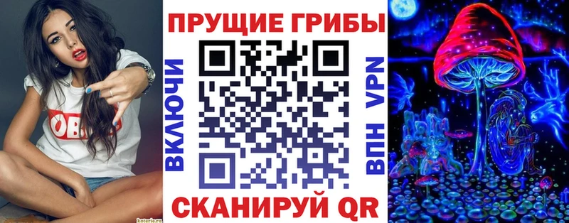 Псилоцибиновые грибы мицелий  Закаменск 